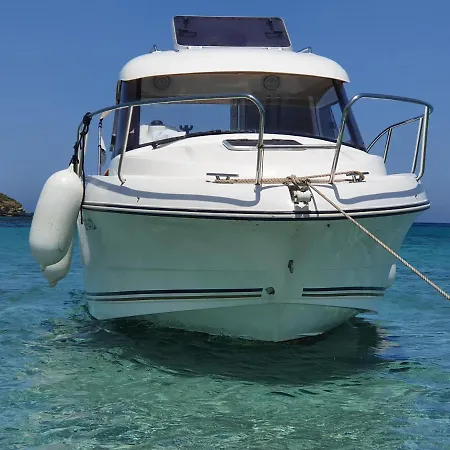 Apartamento Cap Corse Uribellinu 1, Petit Dejeuner