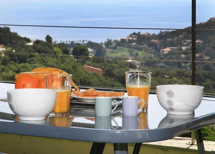 Apartment Cap Corse Uribellinu 1, Petit Dejeuner